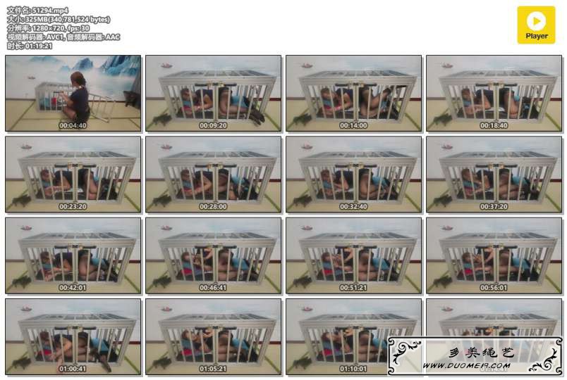 175043v8tw5iootvakikiz.jpg