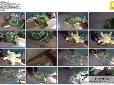 闪闪 内藏人形的海龟玩偶闷热真空压缩填充物