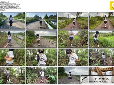 桃花岛 桃花岛原创小叶林间奇遇记上