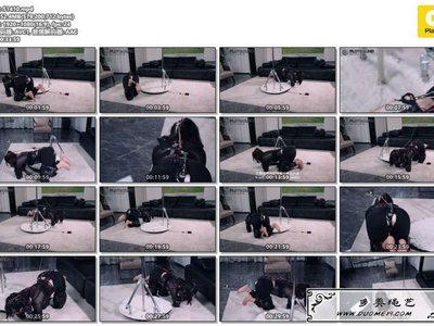 PlotBound BondageDevice自动电击遛狗装置全套狗狗套装电击马具...