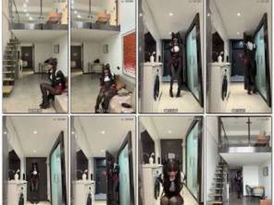 训犬糕手小糕炸金套装黑丝魅魔修女单手套自缚郊狼电击...